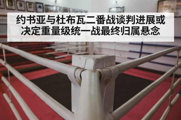 约书亚与杜布瓦二番战谈判进展或决定重量级统一战最终归属悬念